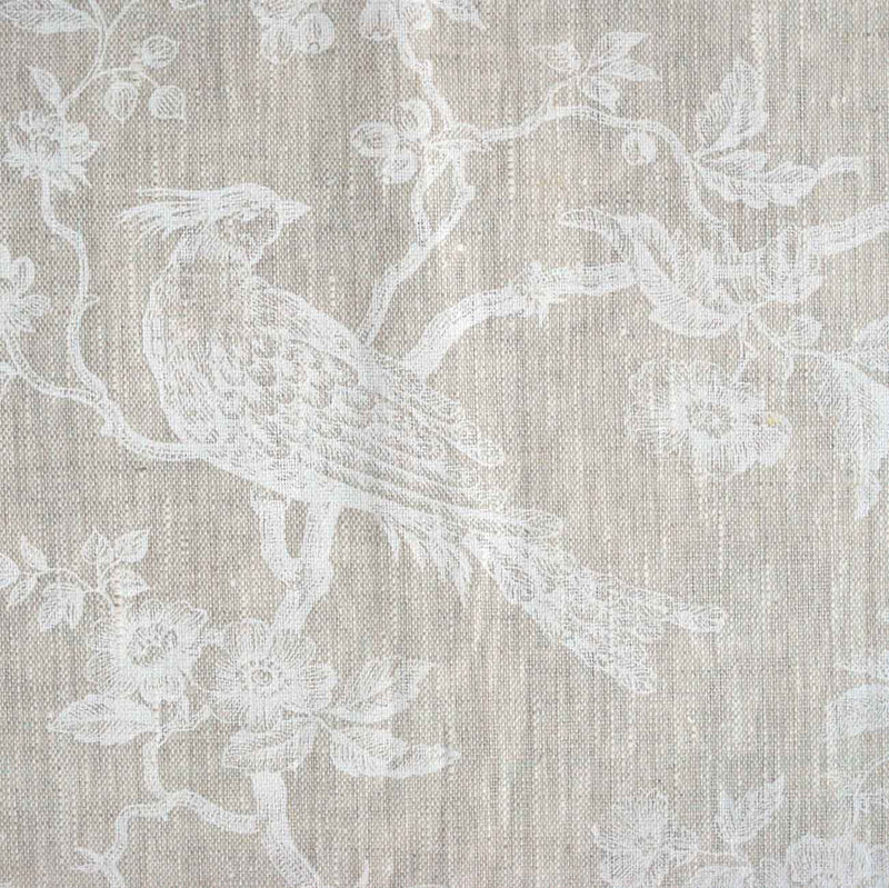 French Weaves and Prints Ornithology White
