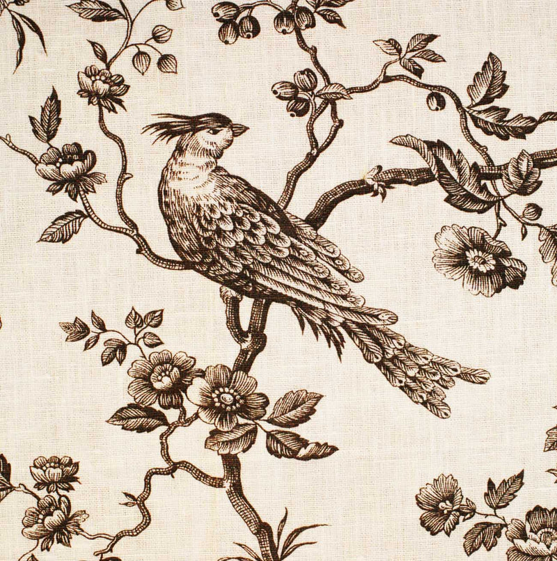 French Weaves and Prints Ornithology Charcoal on White