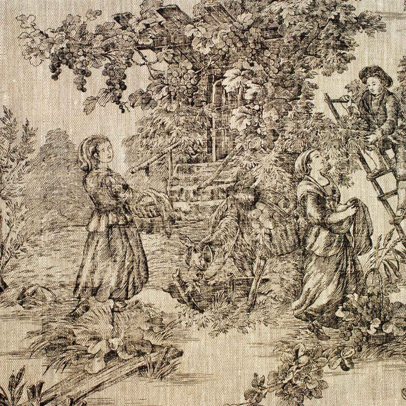 French Weaves and Prints Toile Black