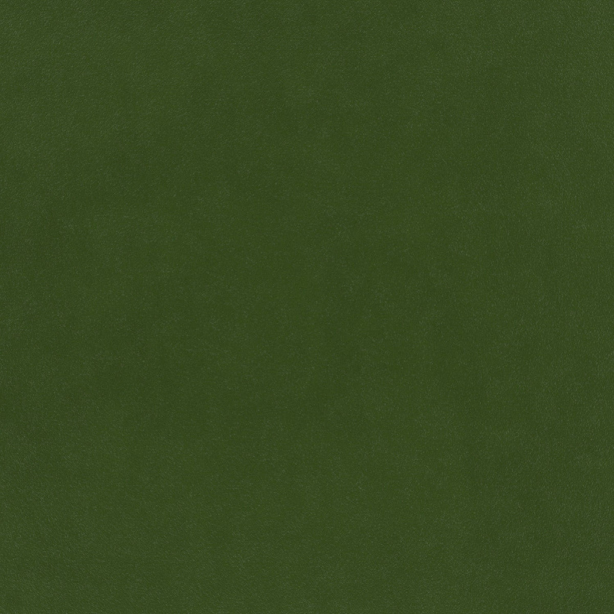 Glyndebourne Scots Pine (limited sale price stock)