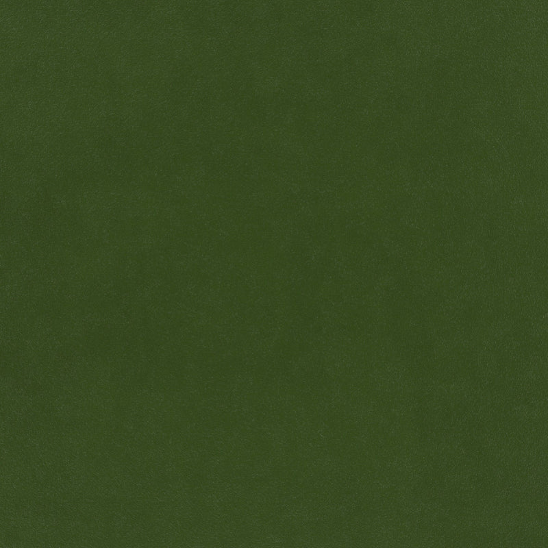 Glyndebourne Scots Pine (limited sale price stock)