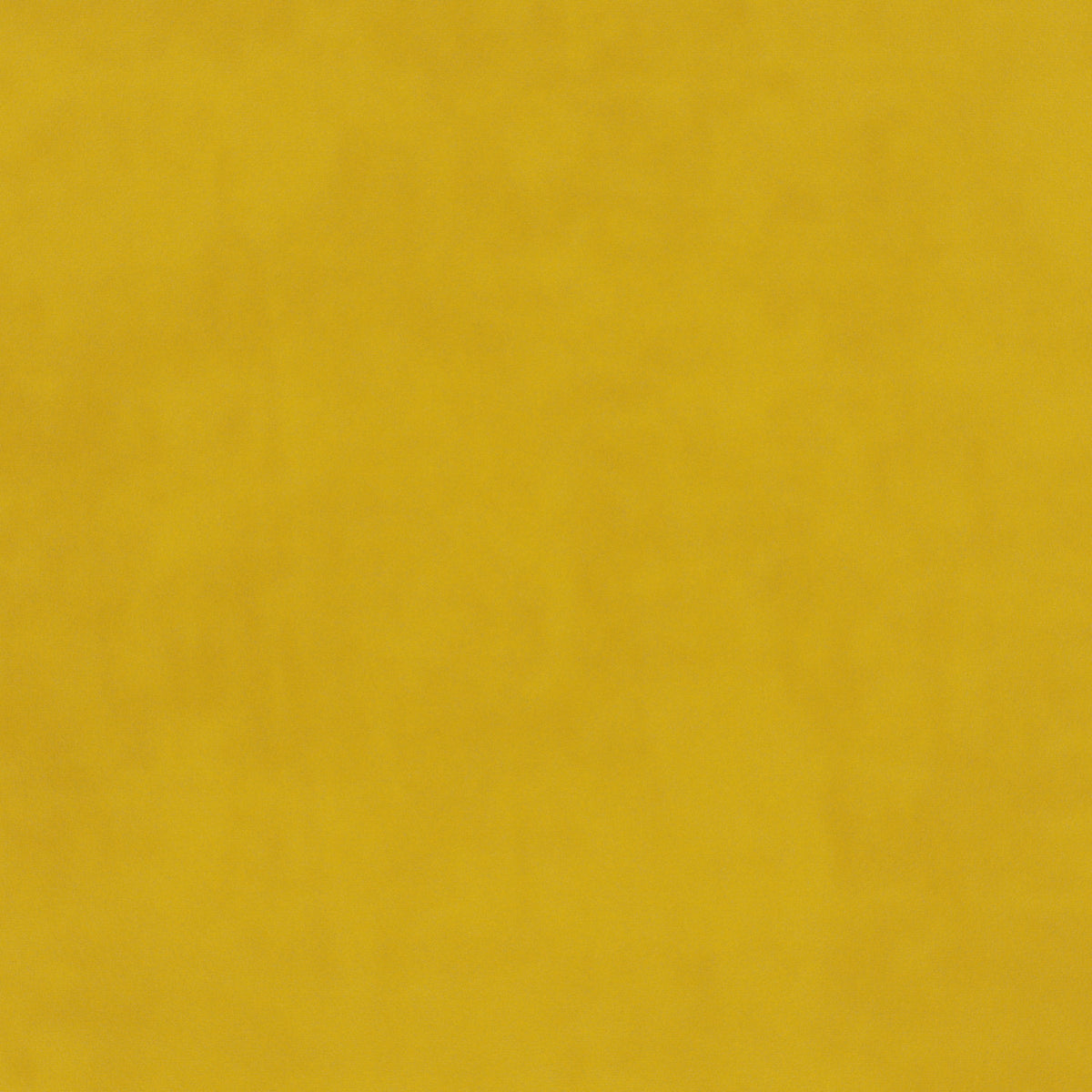 plain  yellow Plain curtain and upholstery fabric - Glyndebourne Primrose