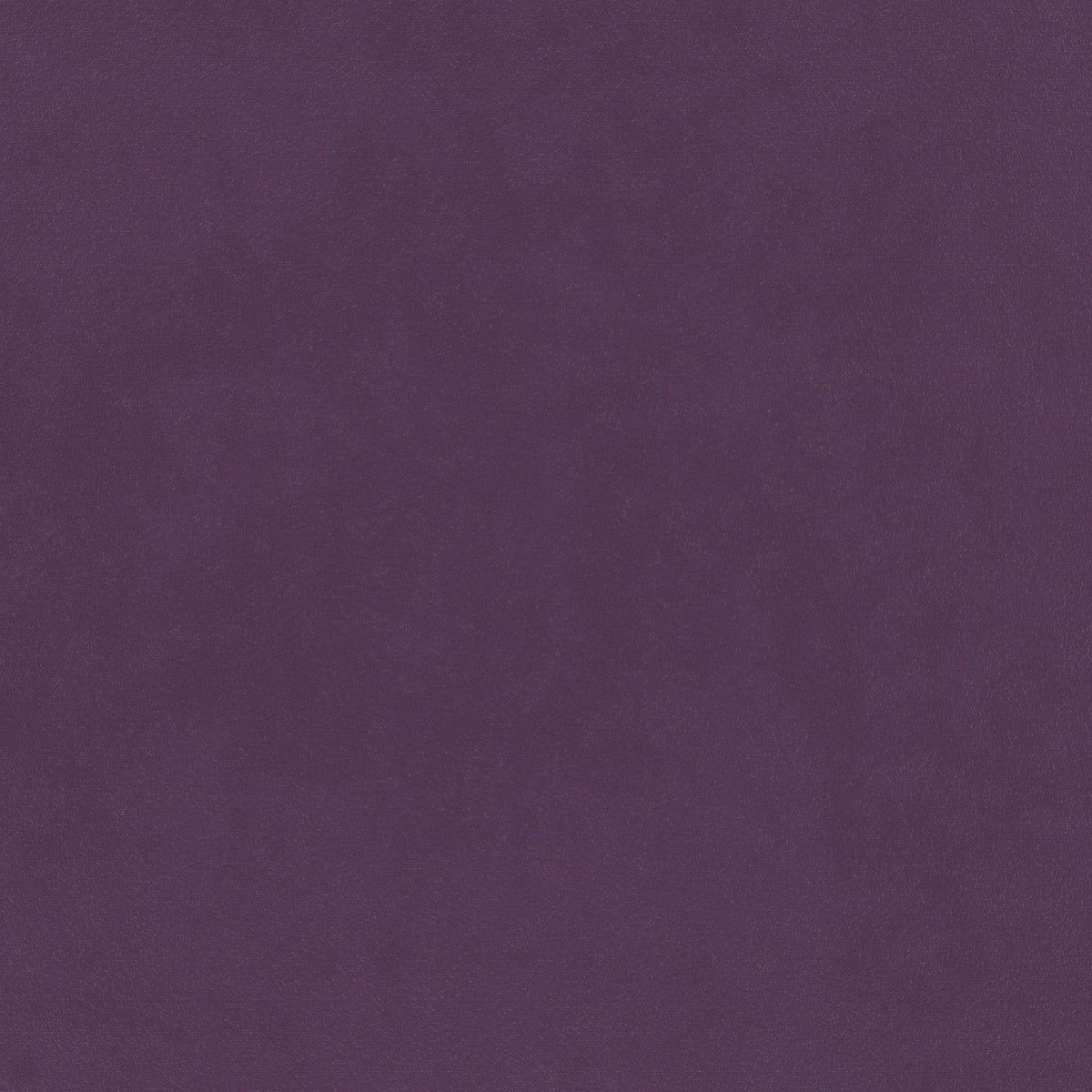 Glyndebourne Amethyst (limited sale price stock)