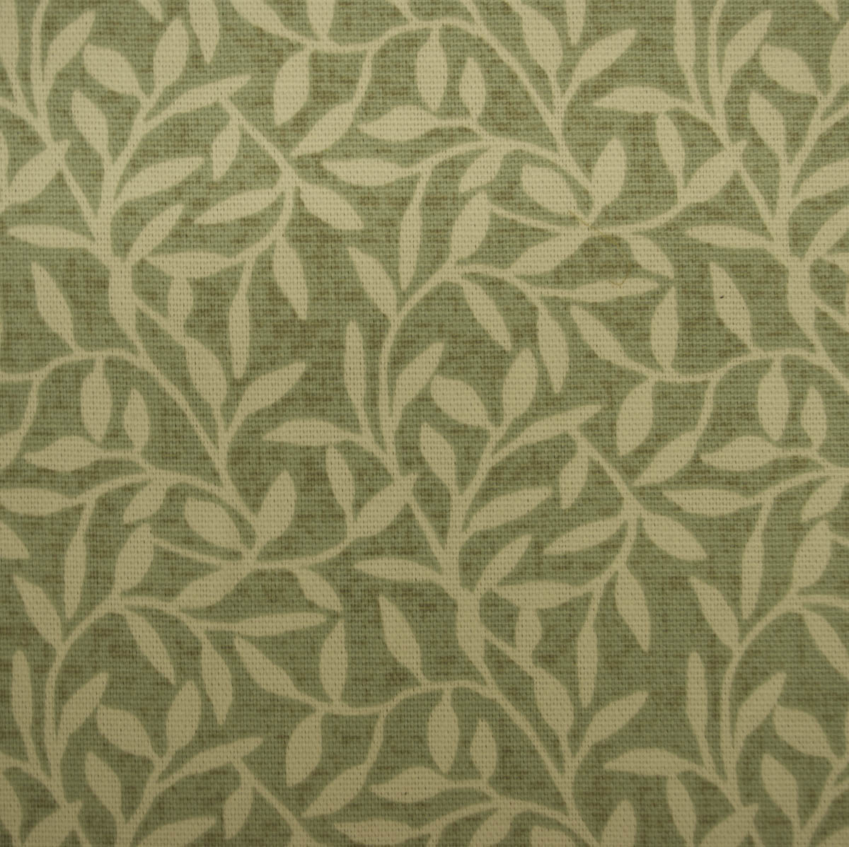 William Morris Rambling Willow Sage