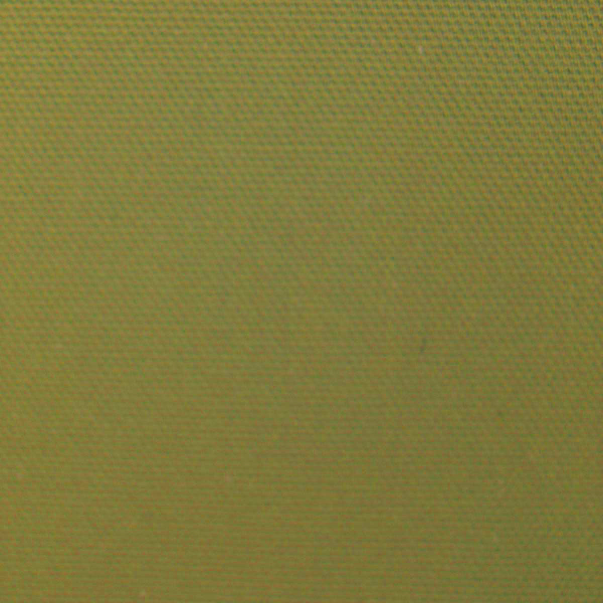 Hardwick Natural Plains Half Panama Olive (limited sale price stock)