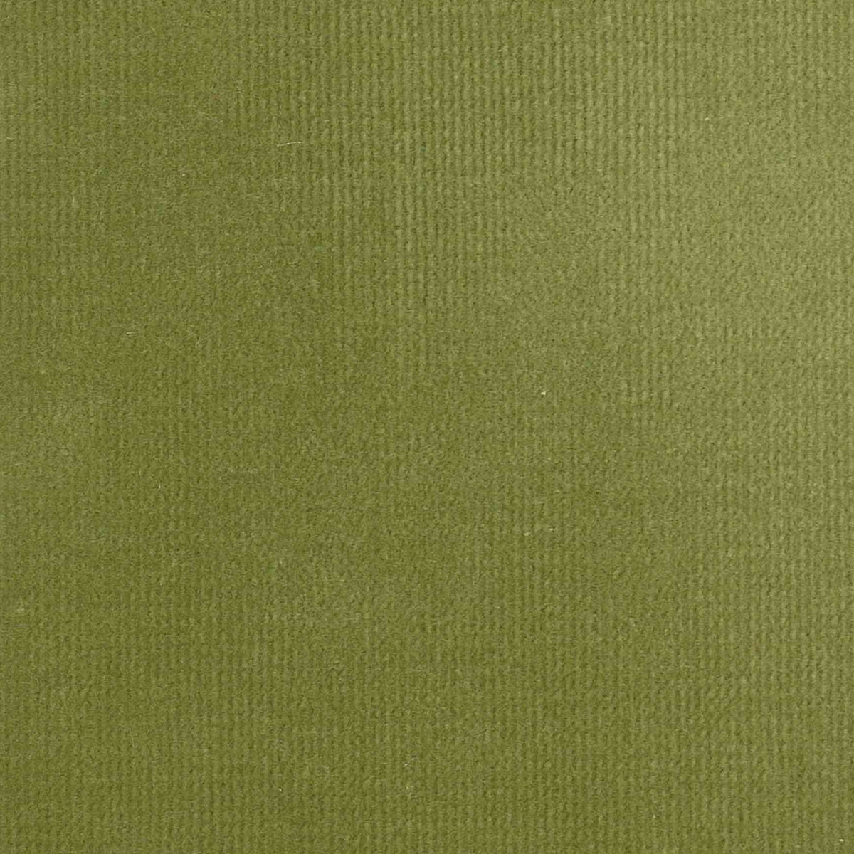 100% Cotton Velvet curtain and upholstery fabric