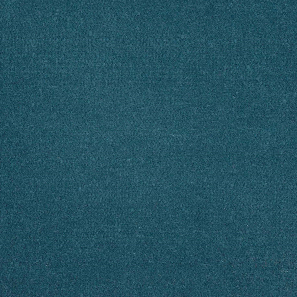 100% Cotton Velvet curtain and upholstery fabric
