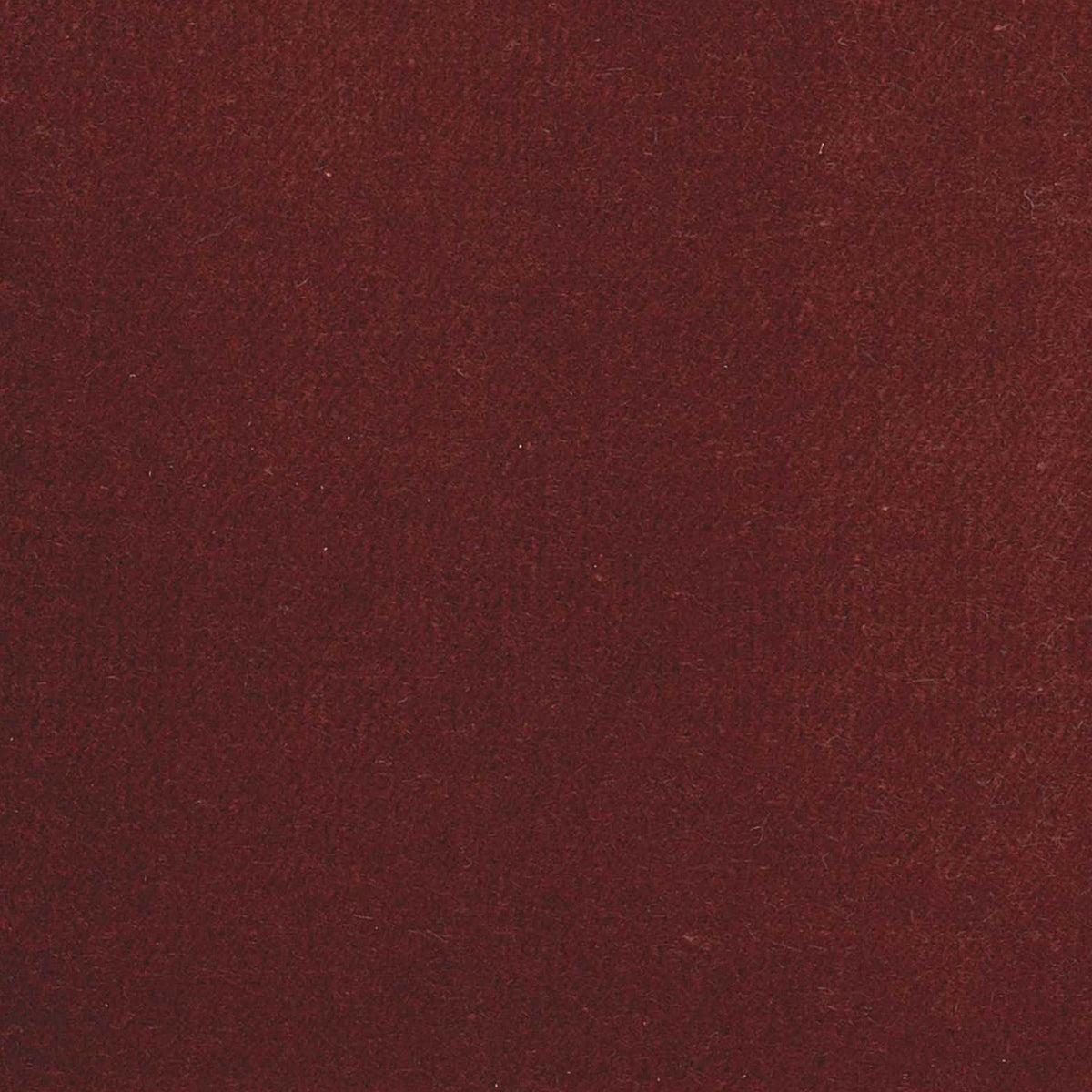 100% Cotton Velvet curtain and upholstery fabric