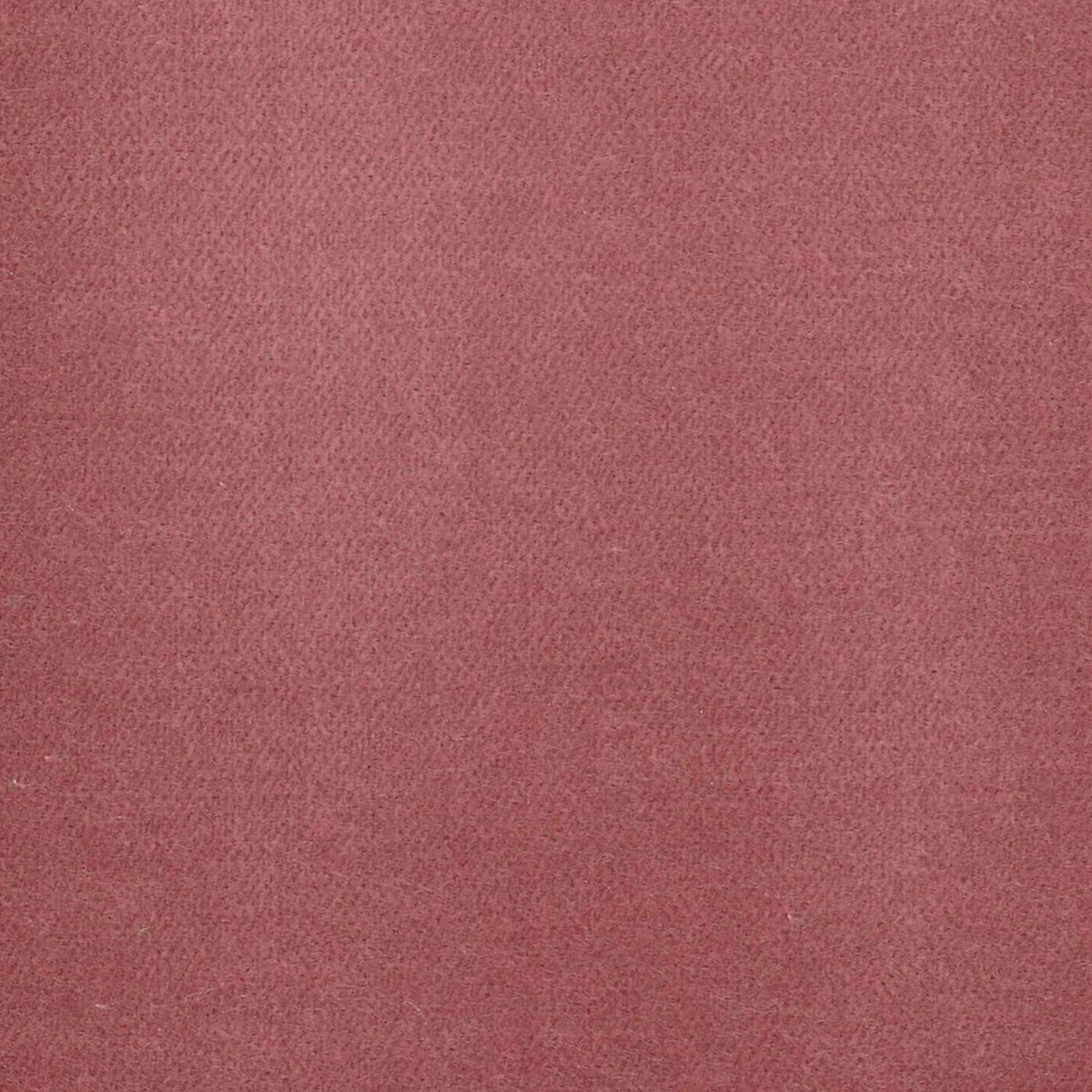 100% Cotton Velvet curtain and upholstery fabric
