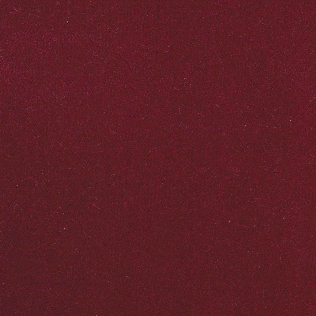 100% Cotton Velvet curtain and upholstery fabric