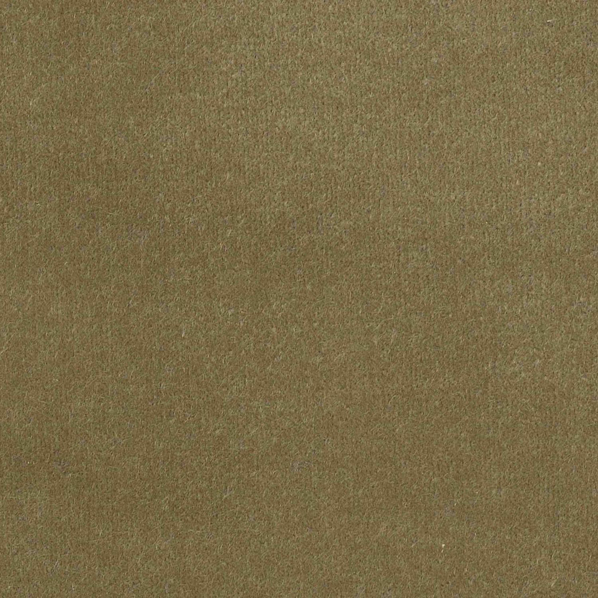 100% Cotton Velvet curtain and upholstery fabric