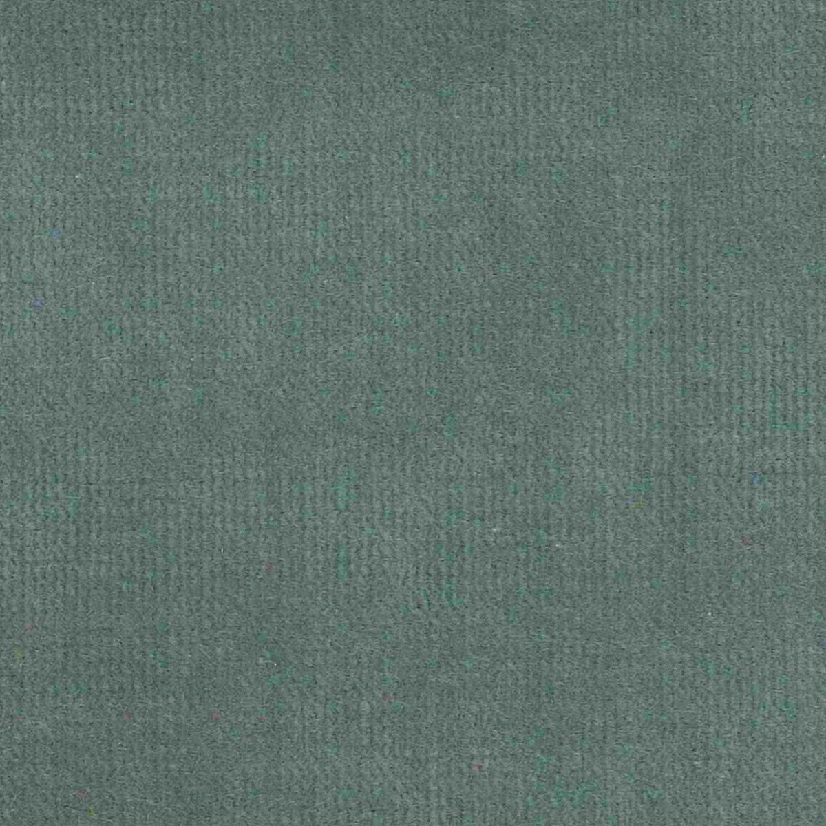 100% Cotton Velvet curtain and upholstery fabric