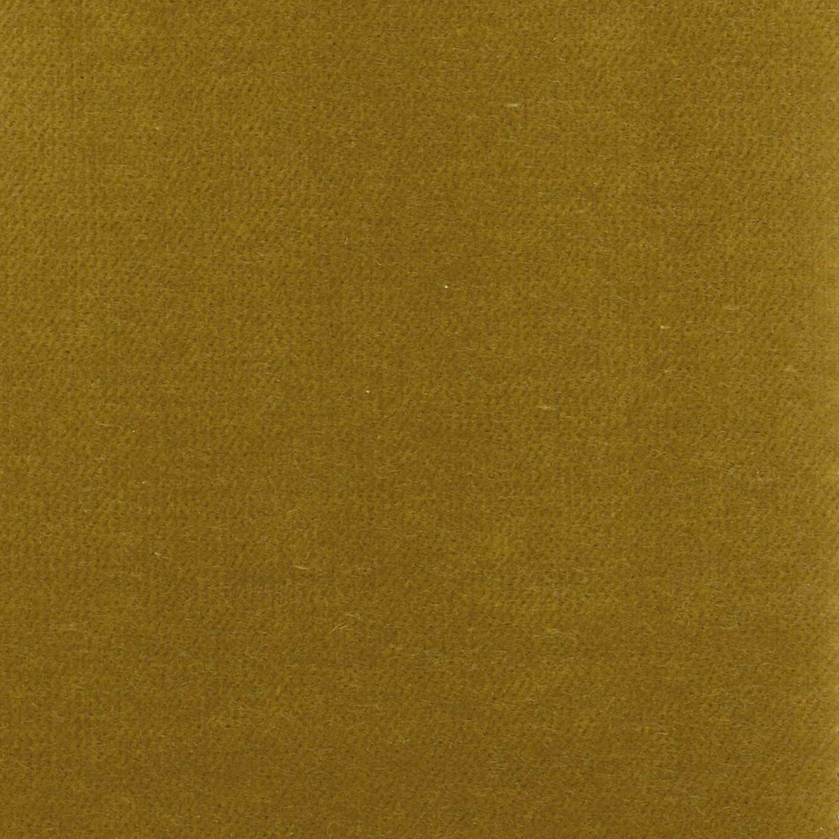 100% Cotton Velvet curtain and upholstery fabric