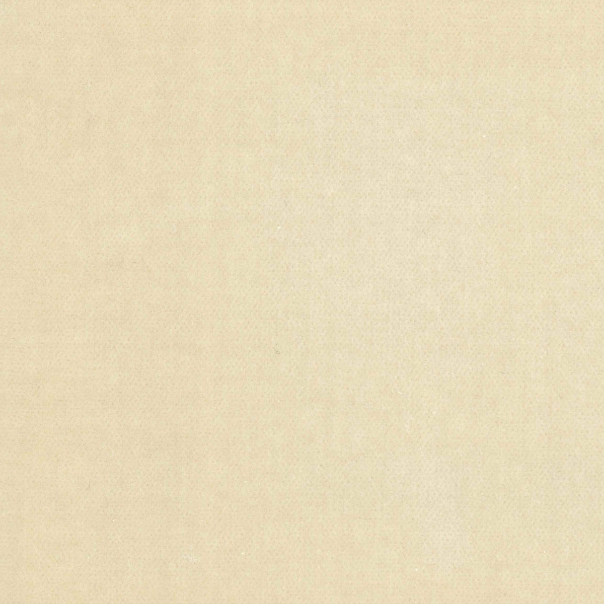100% Cotton Velvet curtain and upholstery fabric