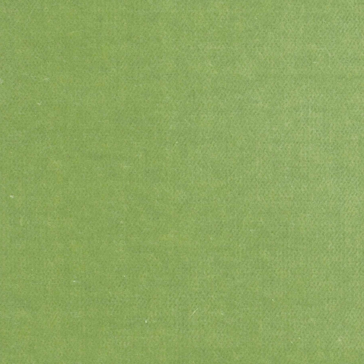 100% Cotton Velvet curtain and upholstery fabric