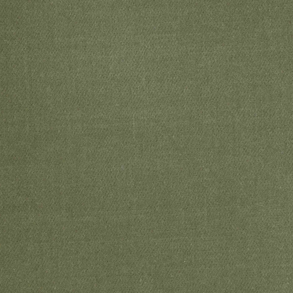 100% Cotton Velvet curtain and upholstery fabric