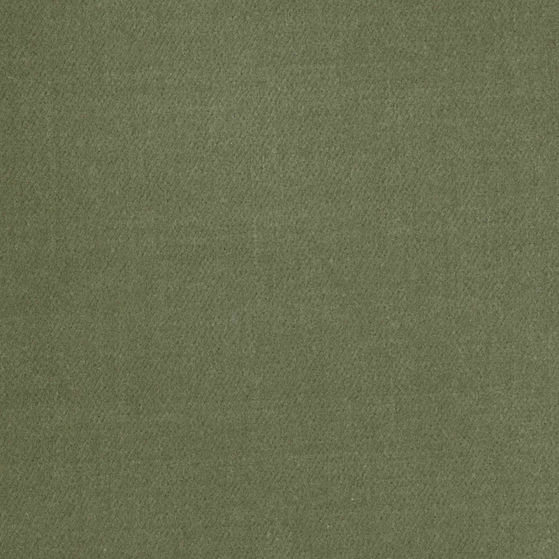 100% Cotton Velvet curtain and upholstery fabric