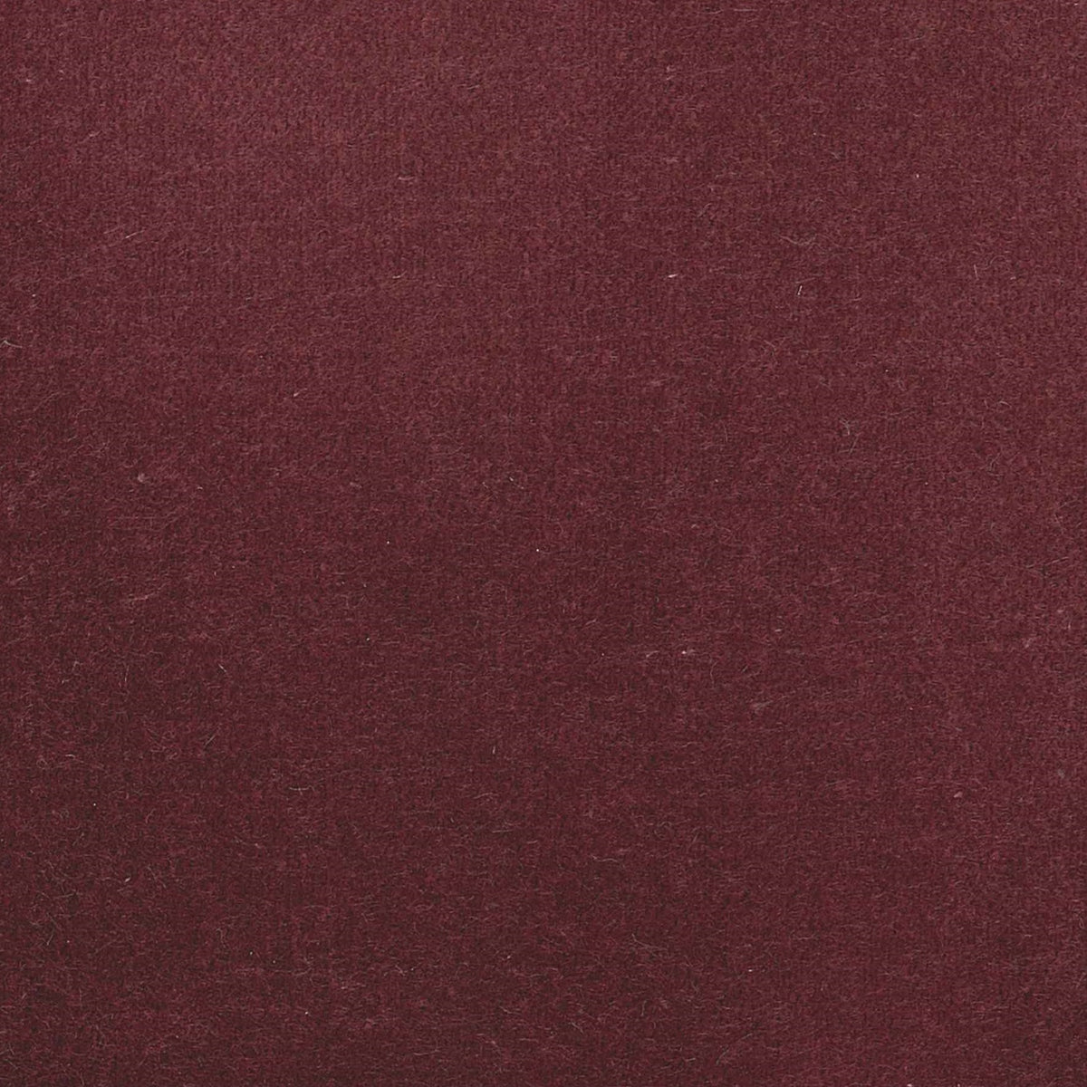 100% Cotton Velvet curtain and upholstery fabric