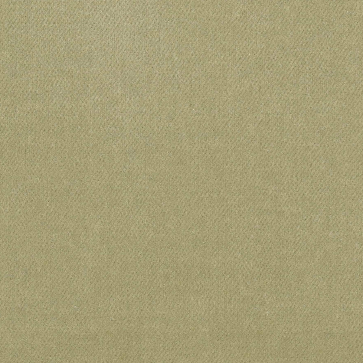 100% Cotton Velvet curtain and upholstery fabric
