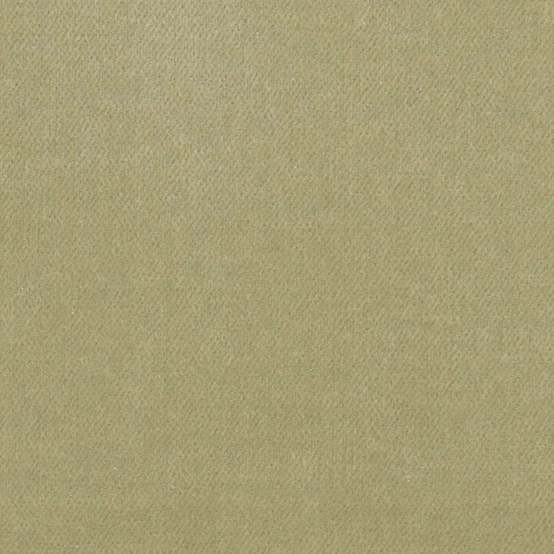 100% Cotton Velvet curtain and upholstery fabric