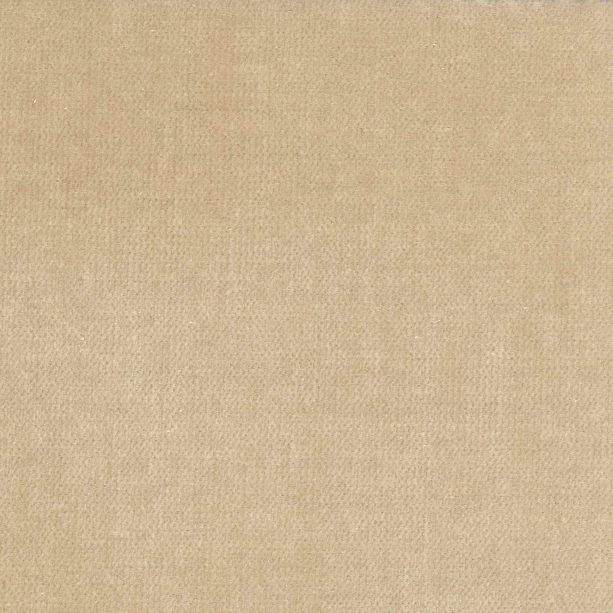 100% Cotton Velvet curtain and upholstery fabric