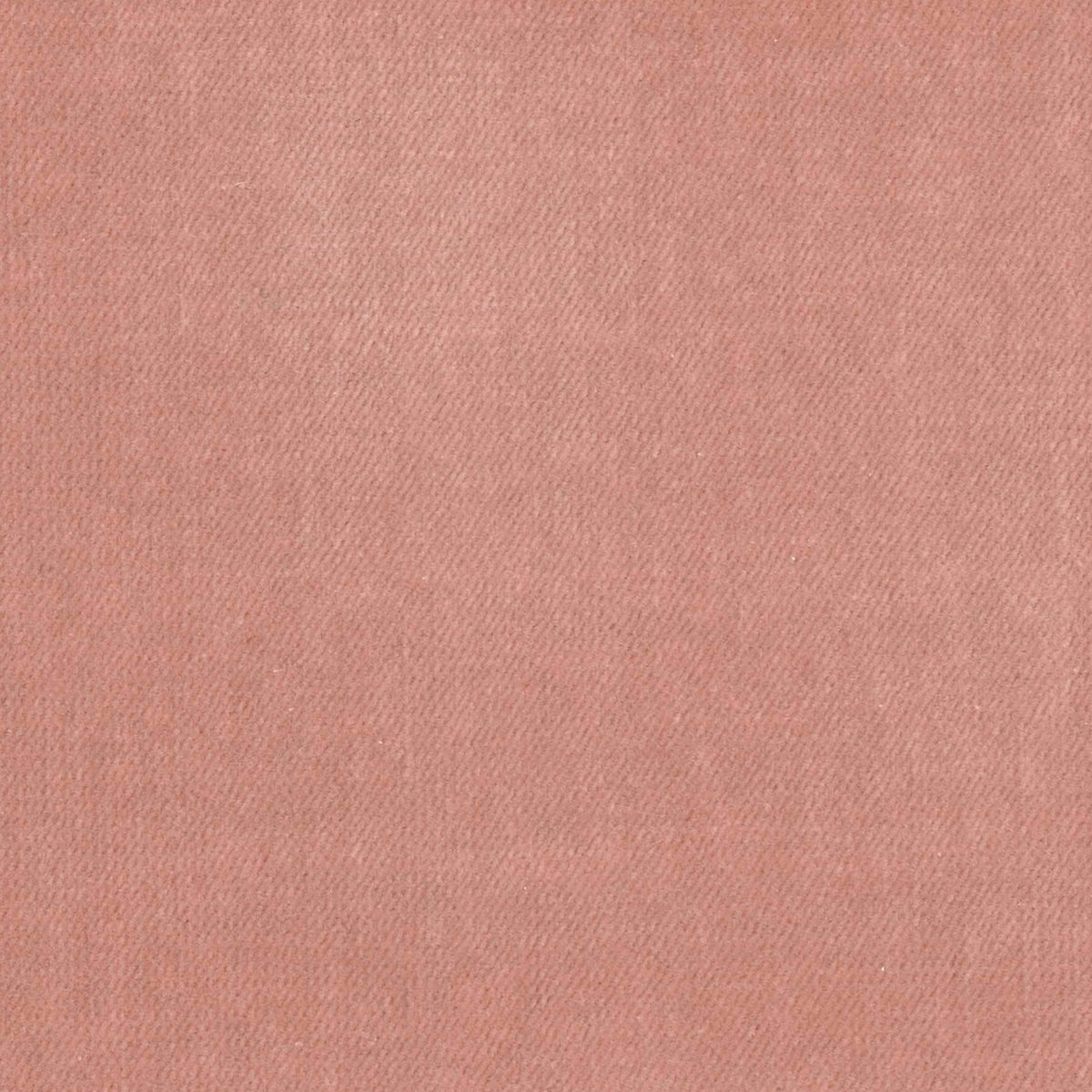 100% Cotton Velvet curtain and upholstery fabric