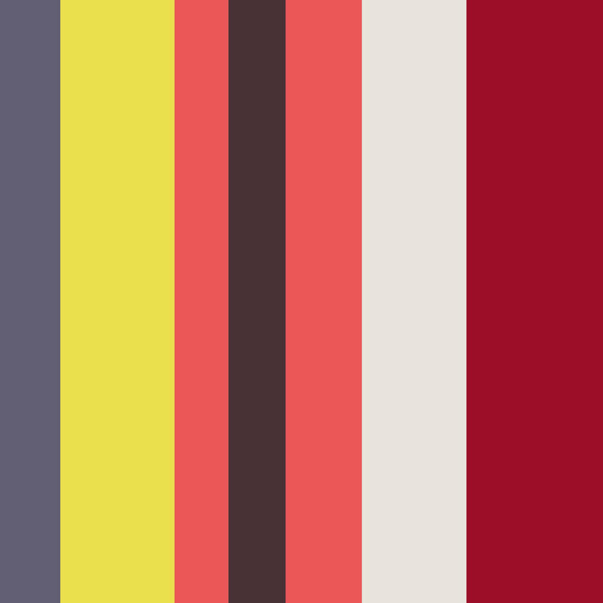 Paul  Smith style wide stripe