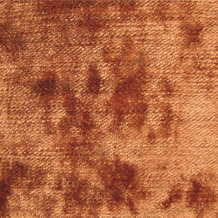 plain  luxurious and hardwearing orange velvet curtain and upholstery fabric - Tabley Seville Plain