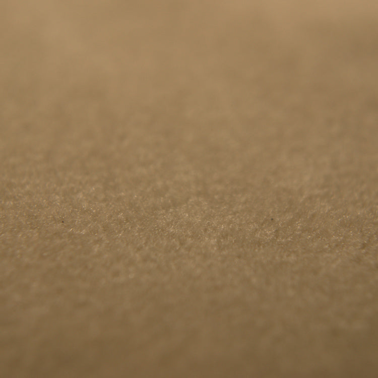 plain  beige Plain curtain and upholstery fabric - Glyndebourne Mushroom