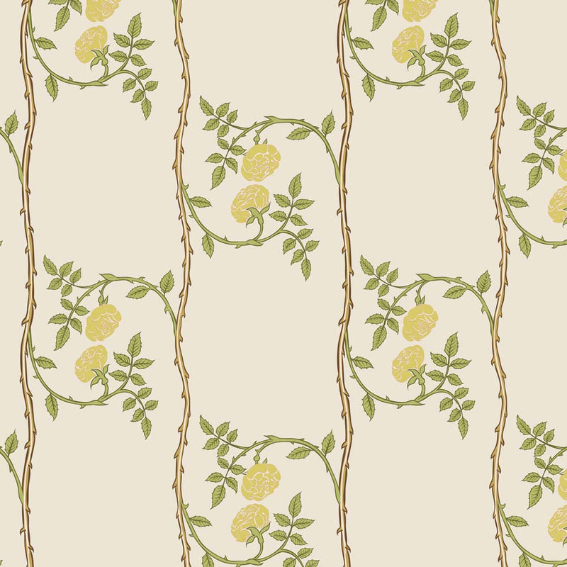 Walter Crane Textile Design