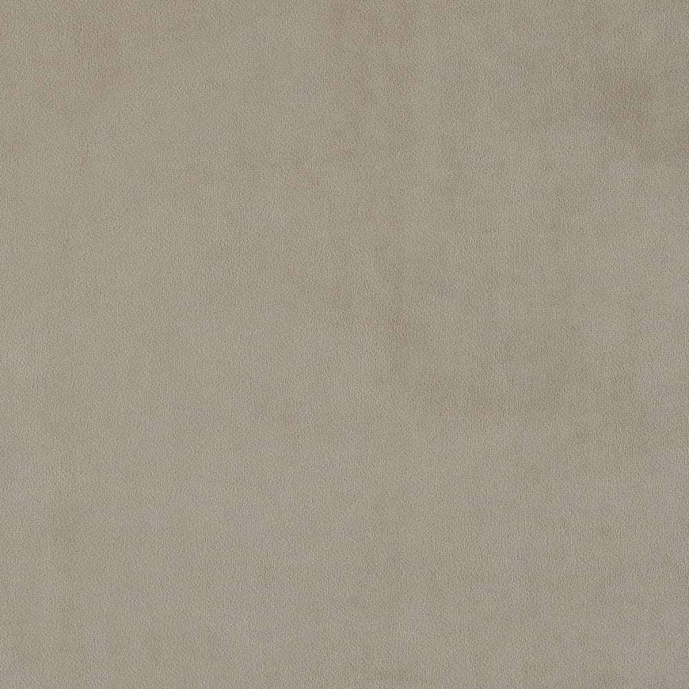 plain  grey Plain curtain and upholstery fabric - Glyndebourne Cloud