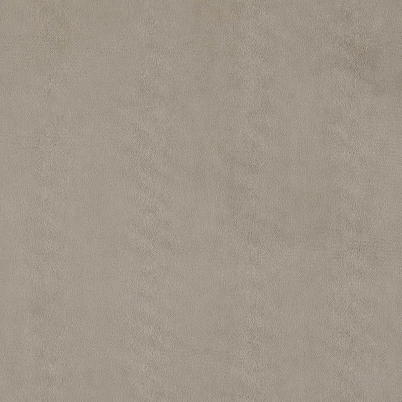 plain  grey Plain curtain and upholstery fabric - Glyndebourne Cloud