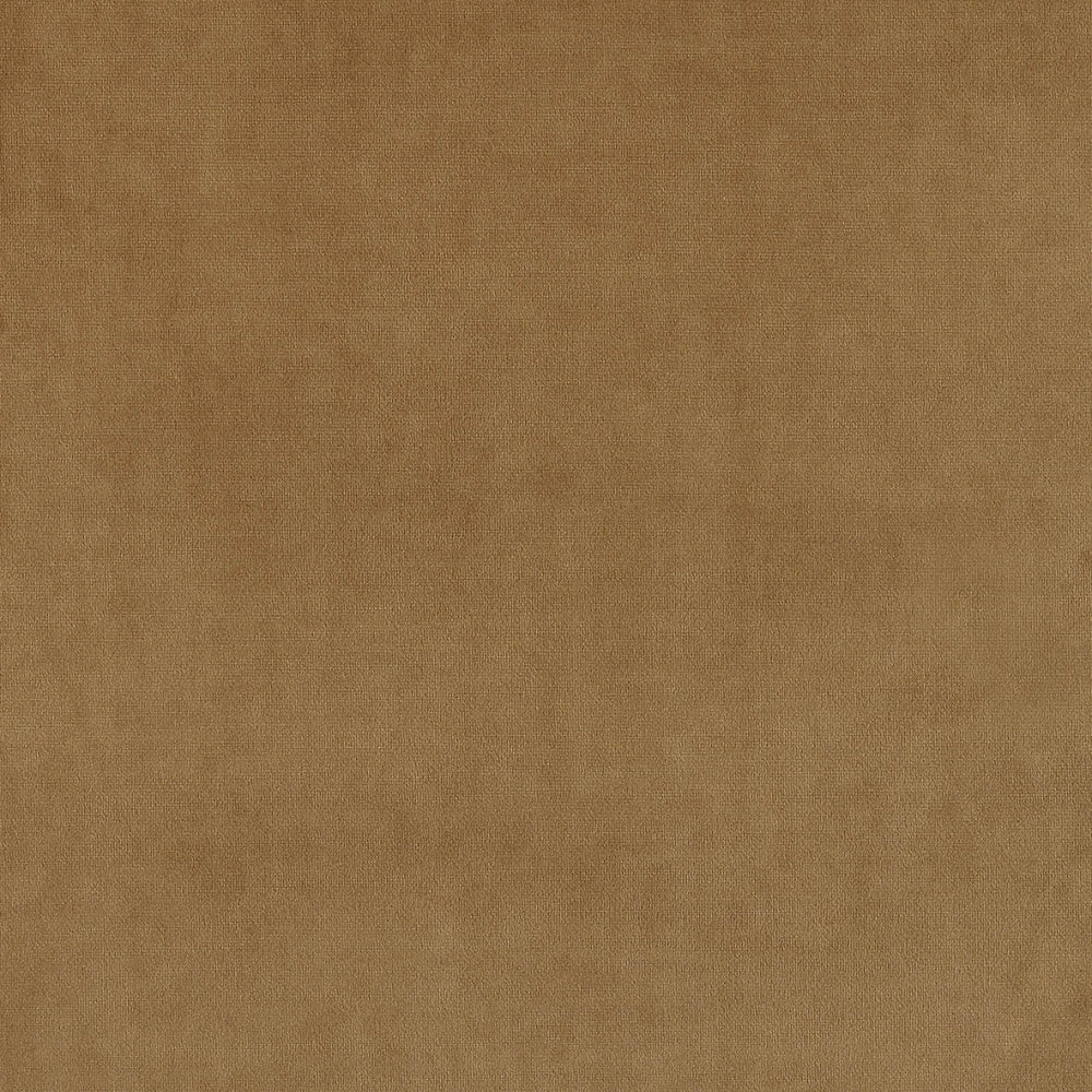 plain  brown Plain curtain and upholstery fabric - Glyndebourne Camel