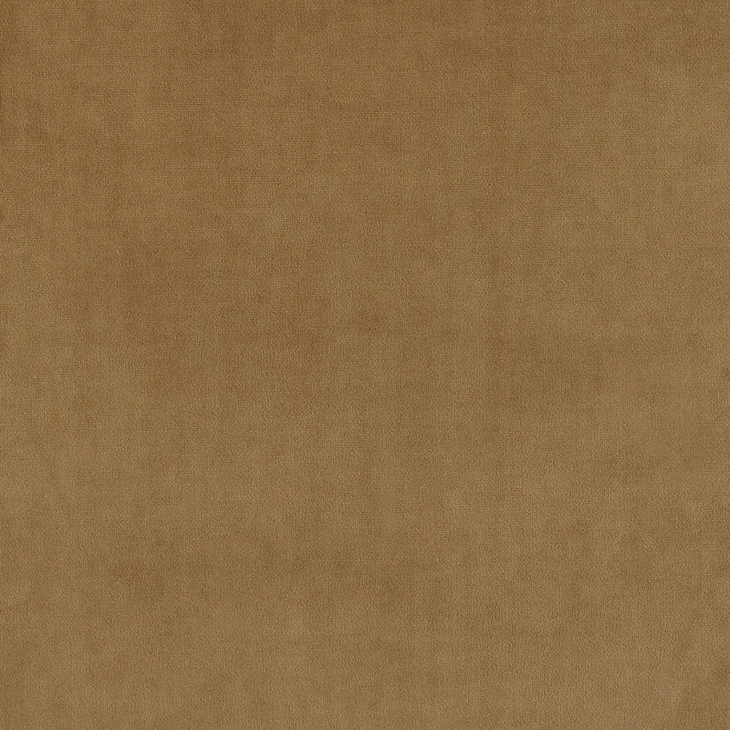 plain  brown Plain curtain and upholstery fabric - Glyndebourne Camel