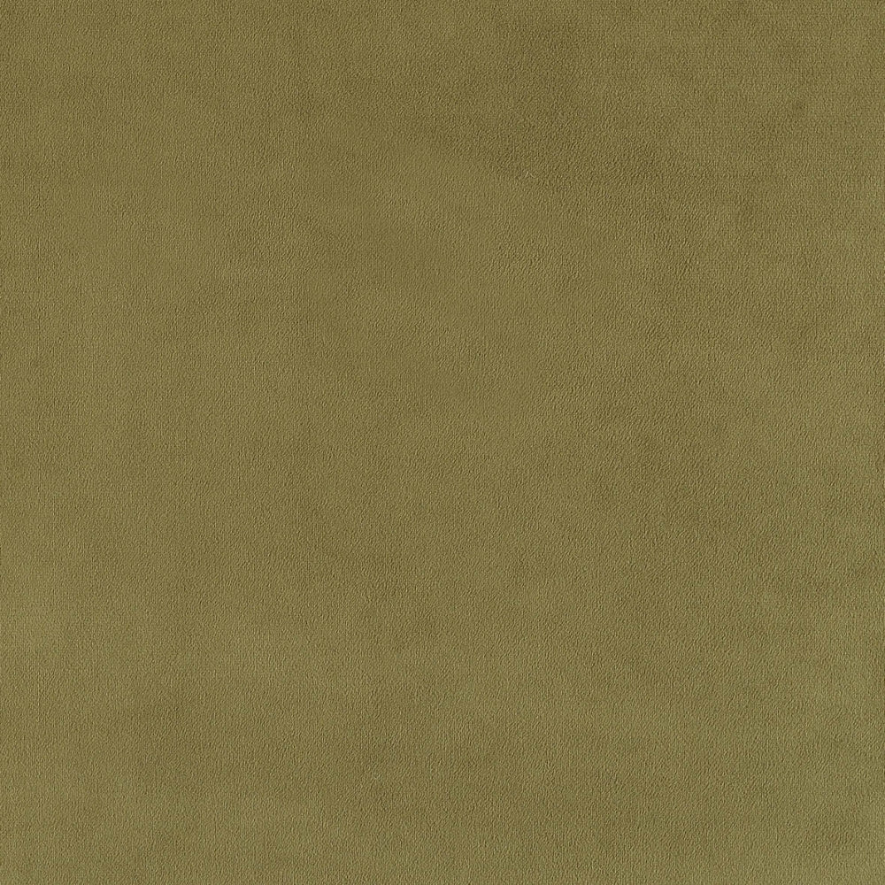 plain  green Plain curtain and upholstery fabric - Glyndebourne Lily