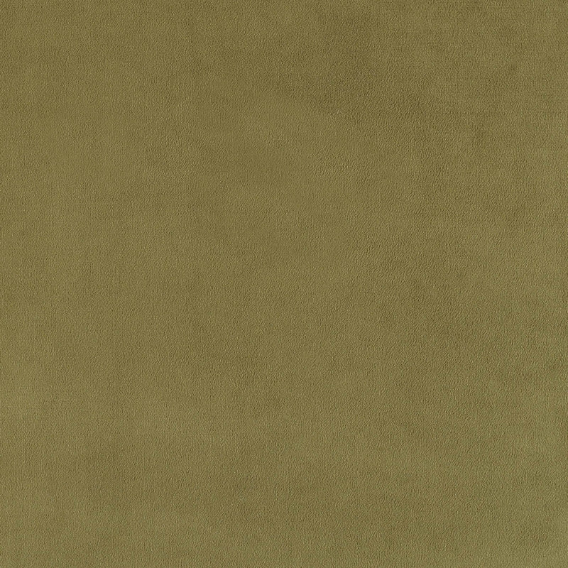 plain  green Plain curtain and upholstery fabric - Glyndebourne Lily