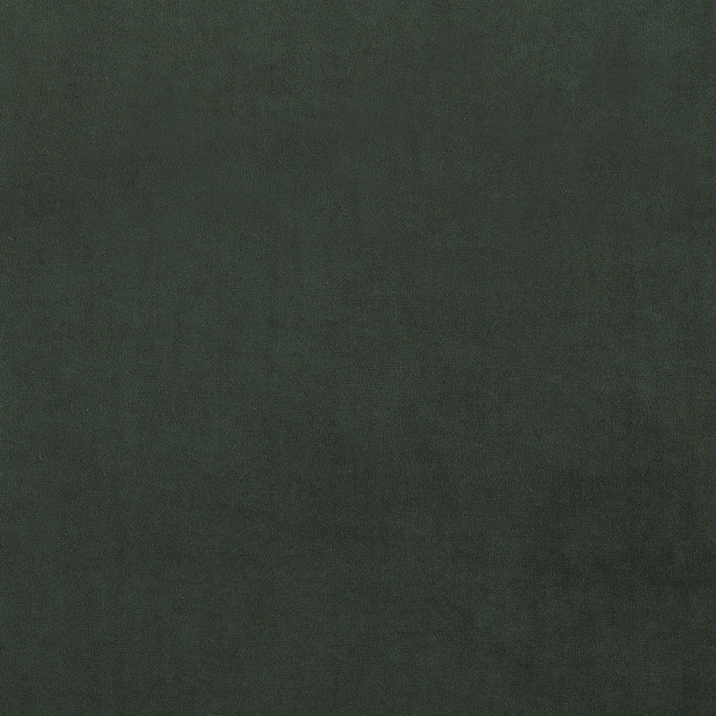 plain  dark green Plain curtain and upholstery fabric - Glyndebourne Forest Night