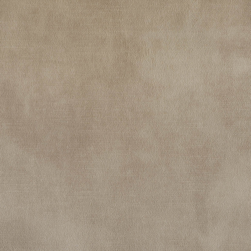 plain  light brown Plain curtain and upholstery fabric - Amore Matt Velvet Champagne