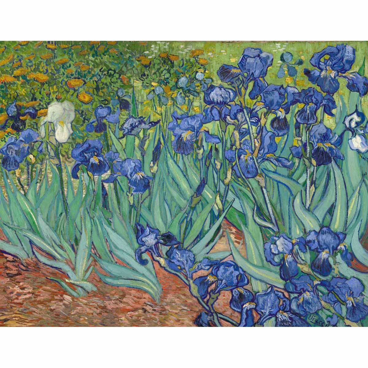 Famous Artists Van Gogh Irises Print