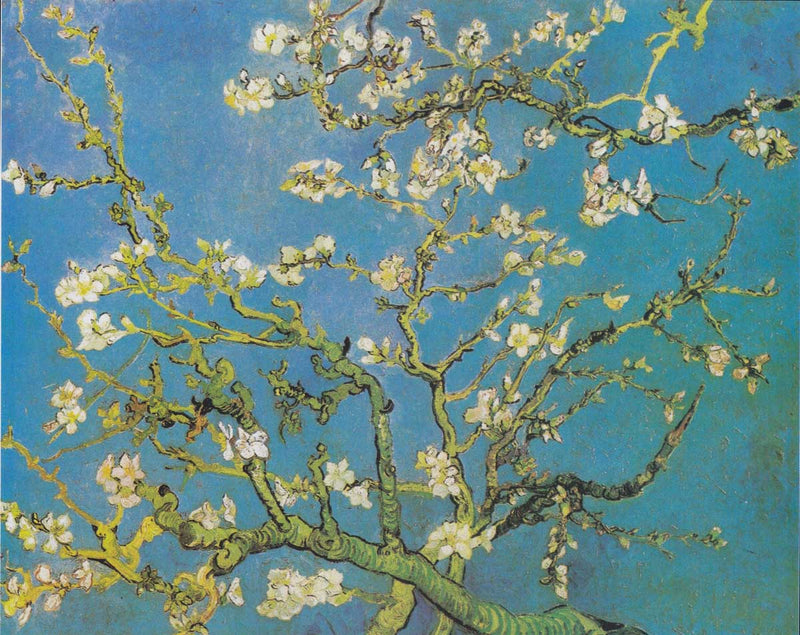 Famous Artists Van Gogh Cherry Blossom Print