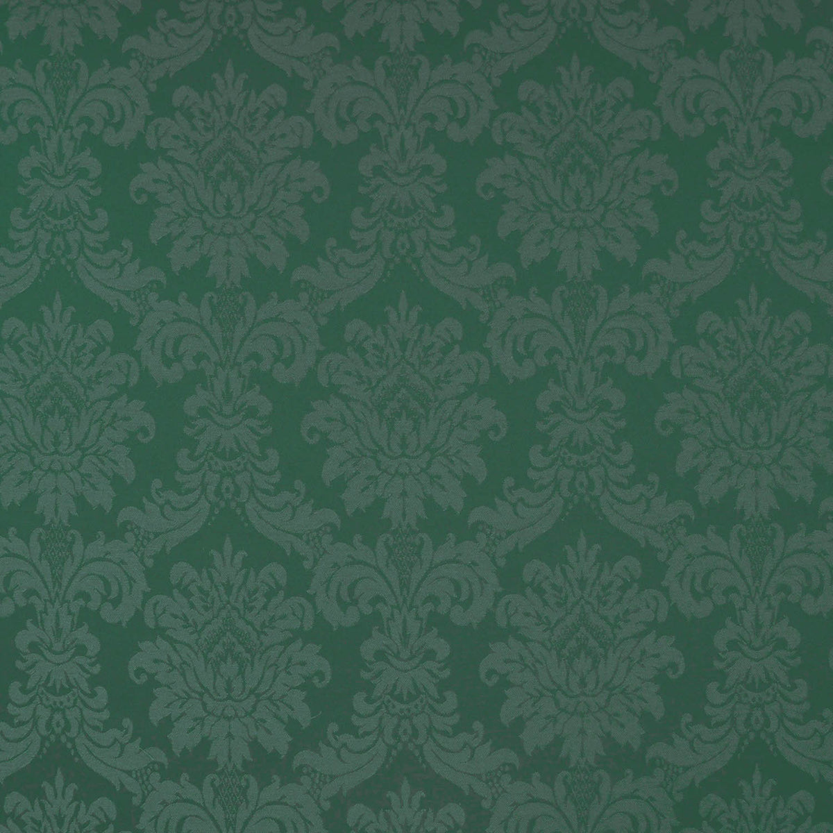 Rossetti Medallion Conifer