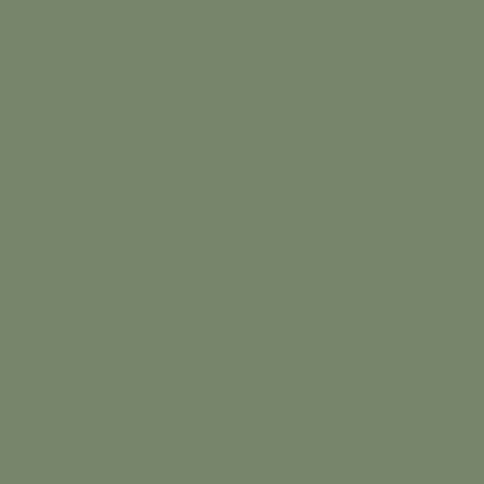 Goes with Farrow and Ball Colours Calke Green Velvet