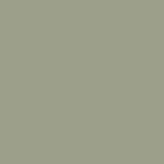 Goes with Farrow and Ball Colours Lichen Velvet