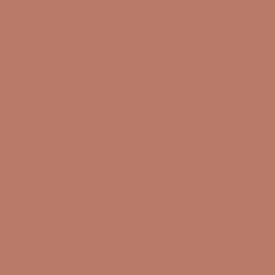 Goes with Farrow and Ball Colours Red Earth Velvet